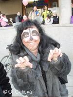 Příbor, LTV Příbor