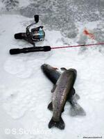 * Z DĚNÍ VE MĚSTĚ