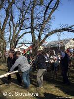 * Z DĚNÍ VE MĚSTĚ