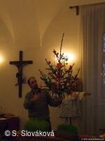 * Z DĚNÍ VE MĚSTĚ